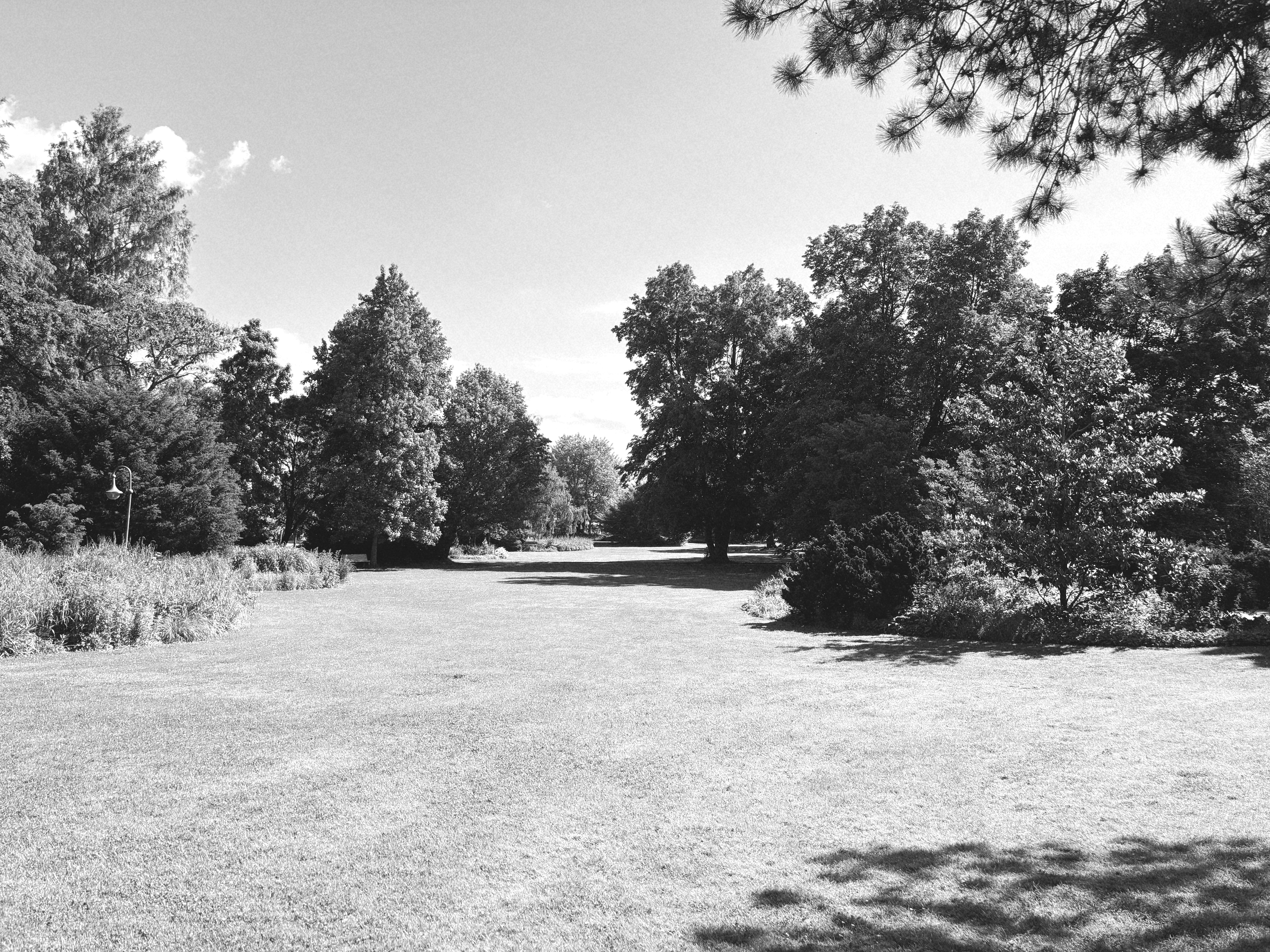 Die große Wiese im Kurpark Bad Dürkheims