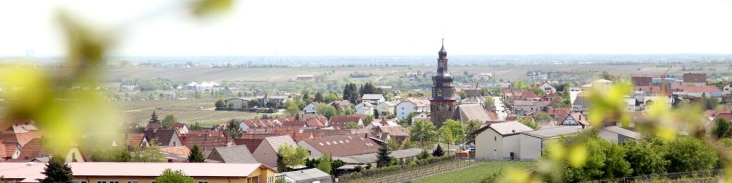 Sicht auf die Ortsgemeinde Kallstadt